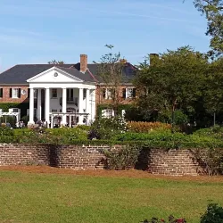 Boone Hall Plantation & Gardens - Mount Pleasant
