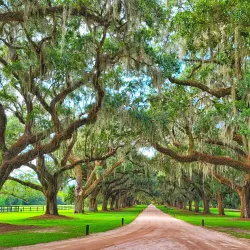 Boone Hall Plantation & Gardens - Mount Pleasant