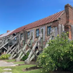 Boone Hall Plantation & Gardens - Mount Pleasant