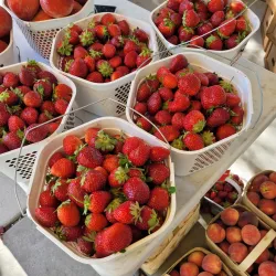 Mount Pleasant Farmers Market - Mount Pleasant