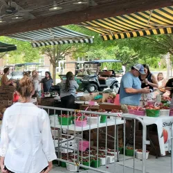 Mount Pleasant Farmers Market - Mount Pleasant