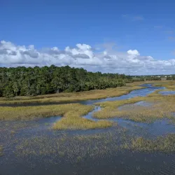 Palmetto Islands County Park - Mount Pleasant