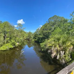 Palmetto Islands County Park - Mount Pleasant