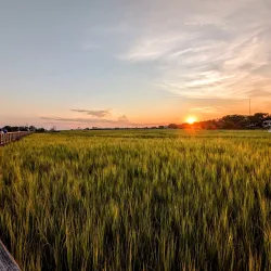 Shem Creek Park - Mount Pleasant