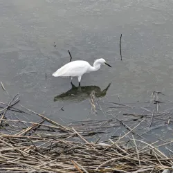 Huntington Beach State Park - Myrtle Beach