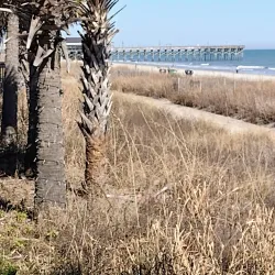 Myrtle Beach Boardwalk & Promenade - Myrtle Beach