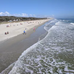 Myrtle Beach State Park - Myrtle Beach