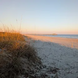 Myrtle Beach State Park - Myrtle Beach