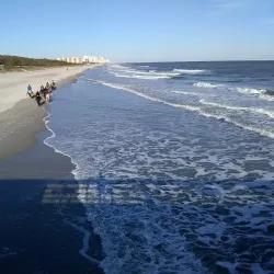Myrtle Beach State Park - Myrtle Beach