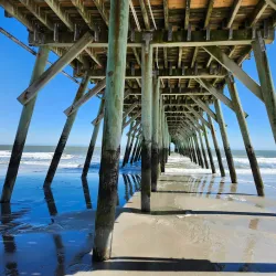 Myrtle Beach State Park - Myrtle Beach