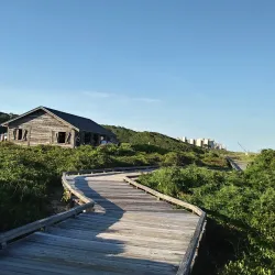 Myrtle Beach State Park - Myrtle Beach