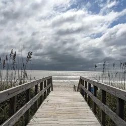 Myrtle Beach State Park - Myrtle Beach