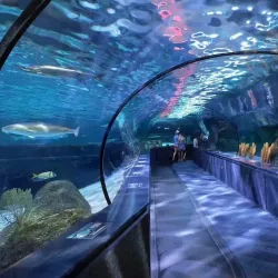 Ripley's Aquarium - Myrtle Beach