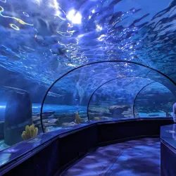 Ripley's Aquarium - Myrtle Beach