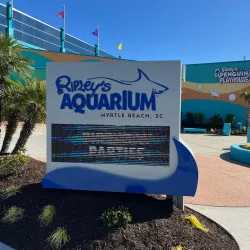 Ripley's Aquarium - Myrtle Beach