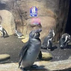 Ripley's Aquarium - Myrtle Beach