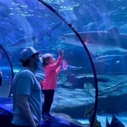 Ripley's Aquarium - Myrtle Beach