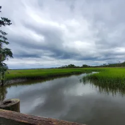 Palmetto Islands County Park - North Charleston