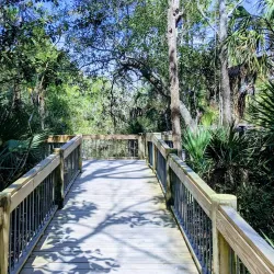 Palmetto Islands County Park - North Charleston
