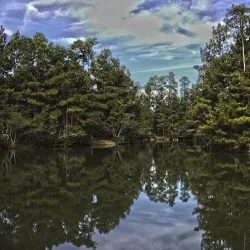 Wannamaker County Park - North Charleston