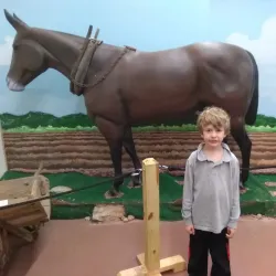 Pendleton District Historical, Recreational & Tourism Commission Museum - Pendleton