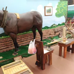 Pendleton District Historical, Recreational & Tourism Commission Museum - Pendleton