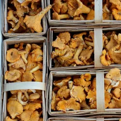 Pendleton Farmers Market - Pendleton