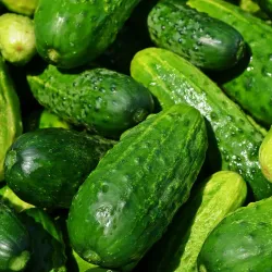 Pendleton Farmers Market - Pendleton