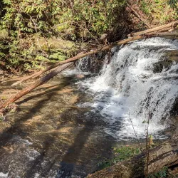 Toxaway Creek Trail - Pendleton