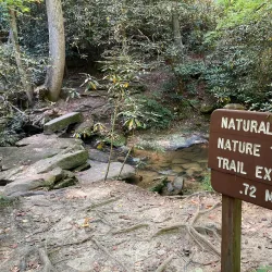 Toxaway Creek Trail - Pendleton