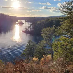 Toxaway Creek Trail - Pendleton