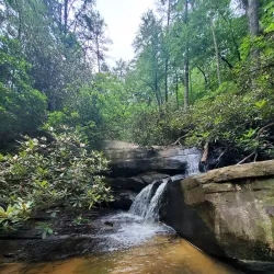 Toxaway Creek Trail - Pendleton