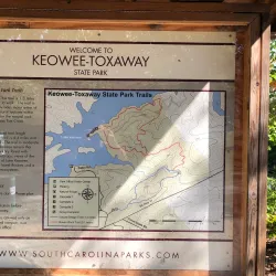 Toxaway Creek Trail - Pendleton