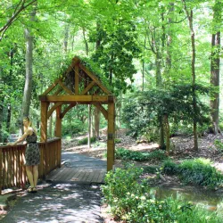Hatcher Garden and Woodland Preserve - Spartanburg