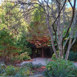 Hatcher Garden and Woodland Preserve - Spartanburg