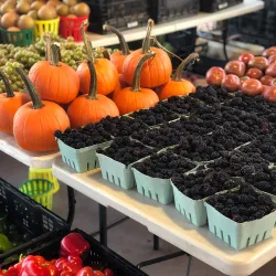 Morgan Square Farmers Market - Spartanburg