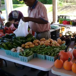Morgan Square Farmers Market - Spartanburg