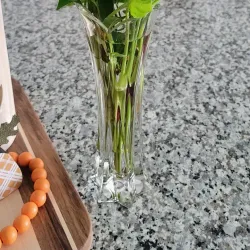 Morgan Square Farmers Market - Spartanburg