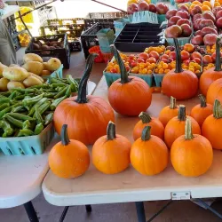 Morgan Square Farmers Market - Spartanburg