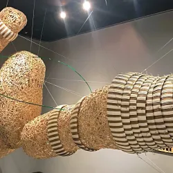 Spartanburg Art Museum - Spartanburg