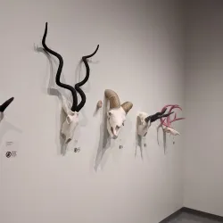 Spartanburg Art Museum - Spartanburg