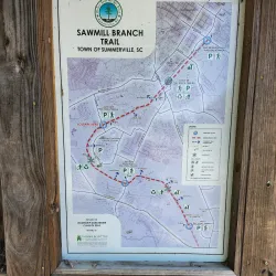 Summerville Trail System - Summerville