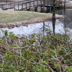 Palmetto Park - Sumter