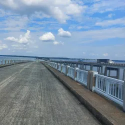 Palmetto Trail - High Hills of Santee Section - Sumter