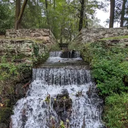 Poinsett State Park - Sumter