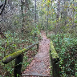 Poinsett State Park - Sumter