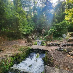 Poinsett State Park - Sumter