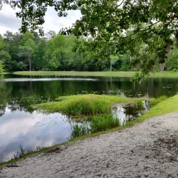 Poinsett State Park - Sumter