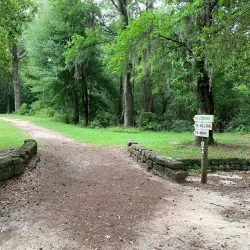 Poinsett State Park - Sumter