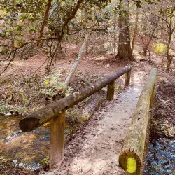 Poinsett State Park - Sumter